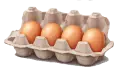 ferme vente direct